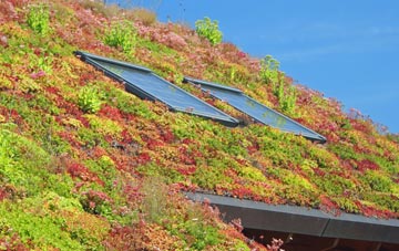 Holbeach St Johns living roof systems