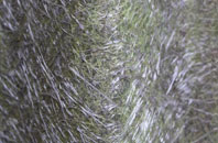 Holbeach St Johns fibreglass roof work